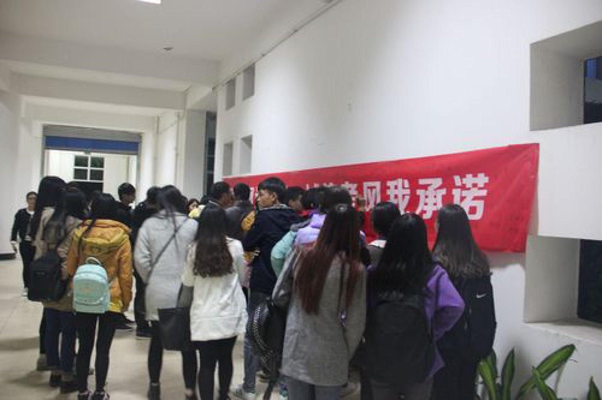 序通网络科技
